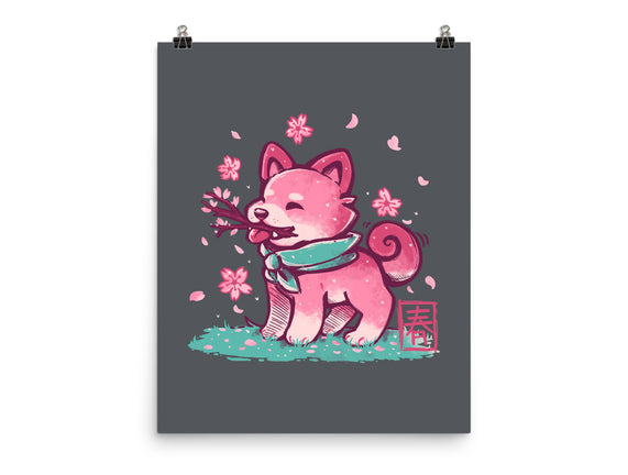 Spring Time Shiba