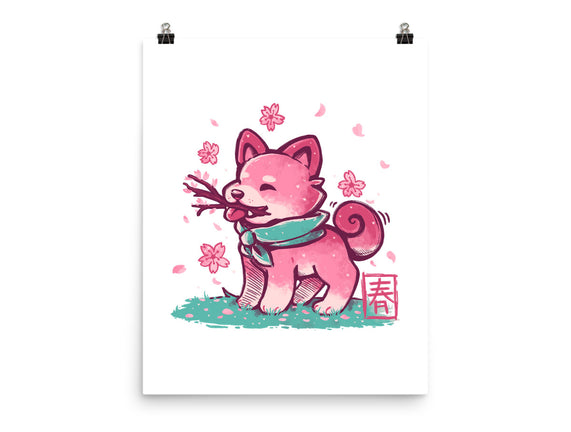 Spring Time Shiba