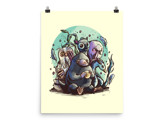 Magical Beasts