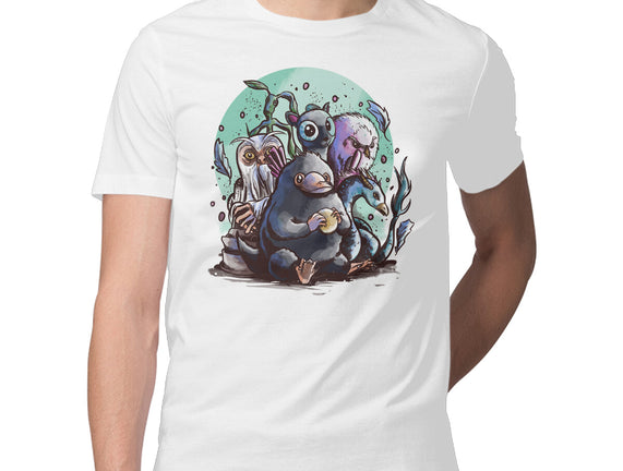 Magical Beasts