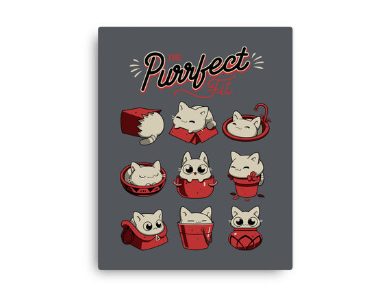 The Purrfect Fit