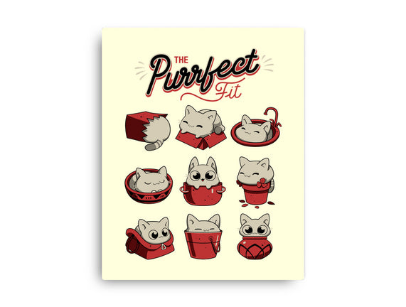The Purrfect Fit