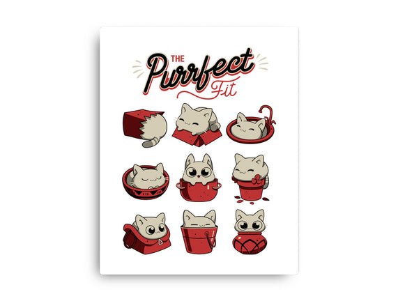 The Purrfect Fit