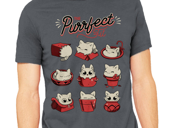 The Purrfect Fit