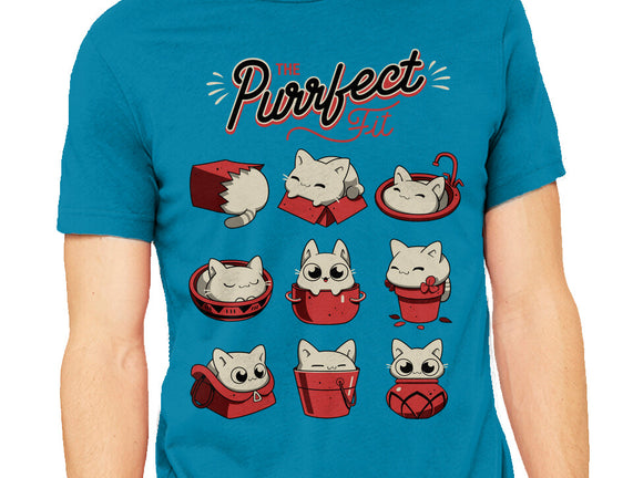 The Purrfect Fit