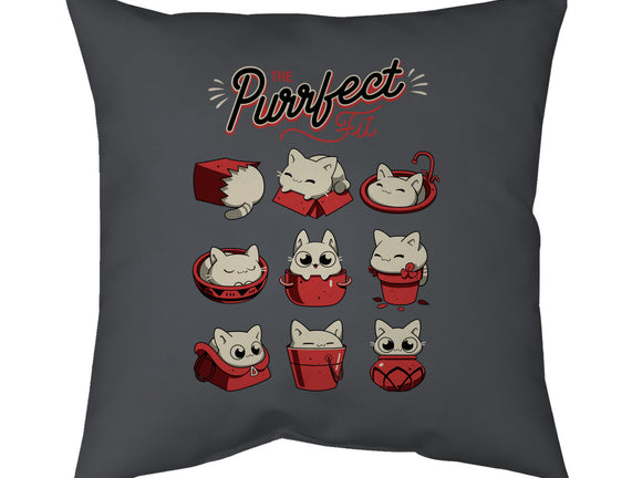 The Purrfect Fit