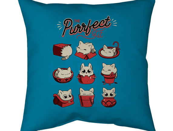 The Purrfect Fit