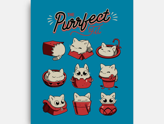 The Purrfect Fit