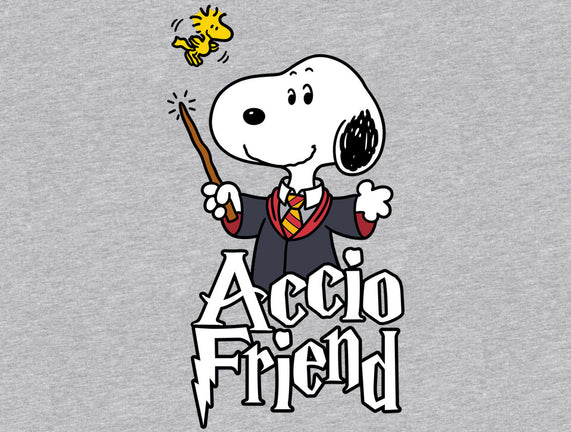 Accio Friend