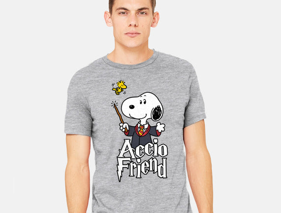 Accio Friend