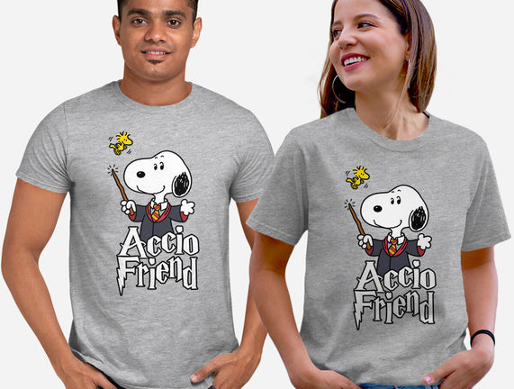 Accio Friend