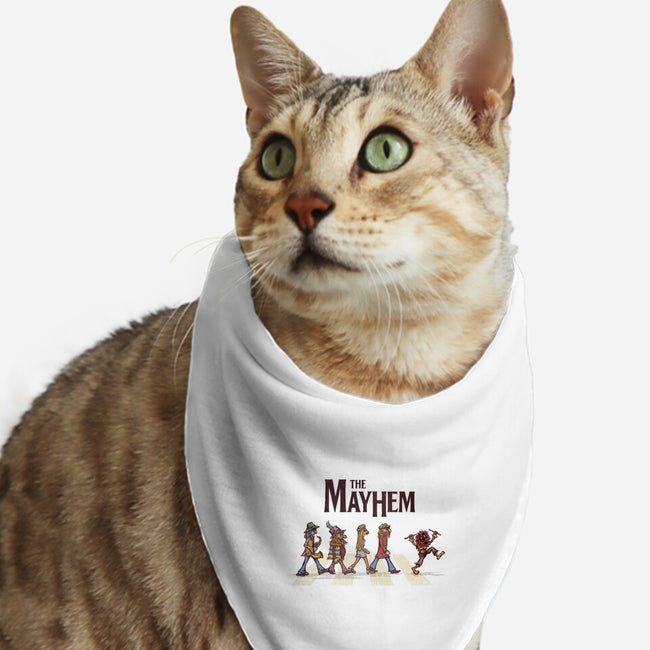 The Mayhem-cat bandana pet collar-kg07