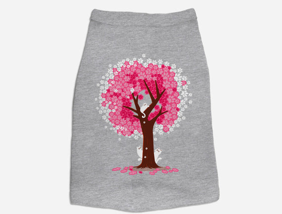 Spring Is Coming