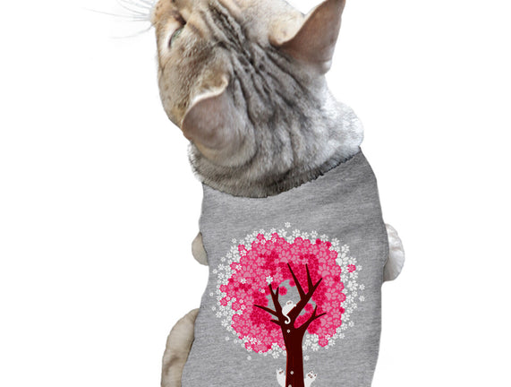 Spring Is Coming