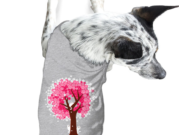 Spring Is Coming