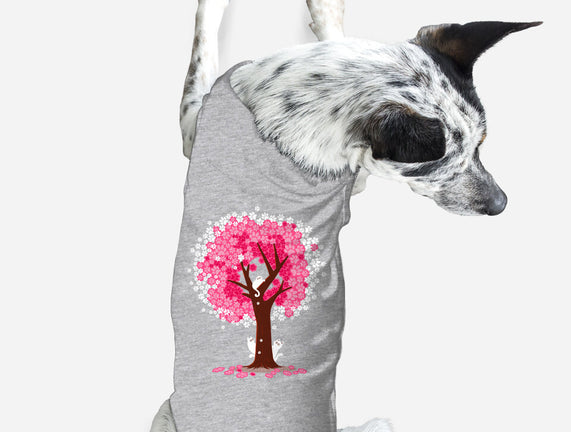 Spring Is Coming