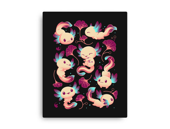 Axolotl Wonders