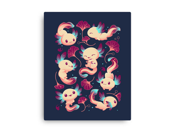 Axolotl Wonders