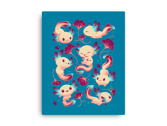Axolotl Wonders