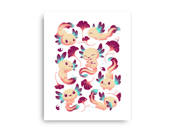 Axolotl Wonders