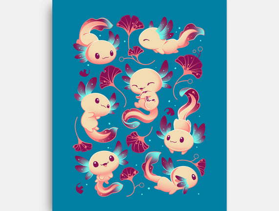Axolotl Wonders