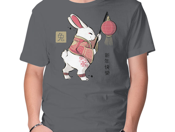 Year Of Rabbit