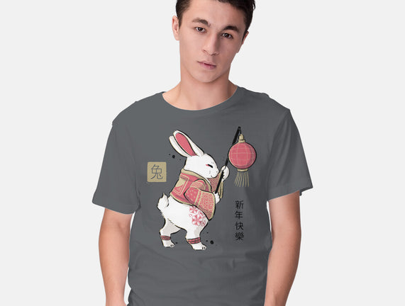 Year Of Rabbit