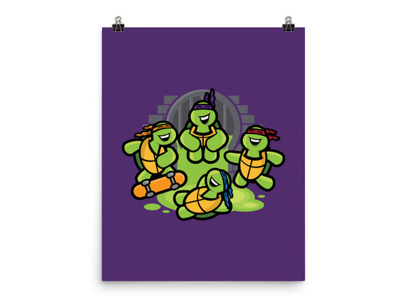 Turtle Party