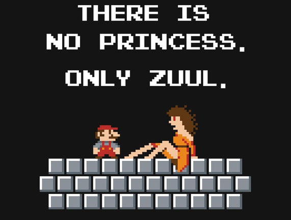 There Is No Princess