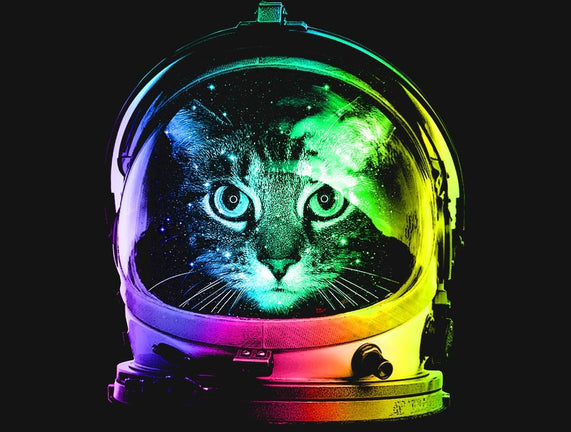 Astronaut Cat