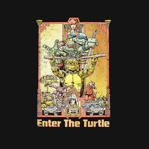 Enter the Turtle Enter the Turtle