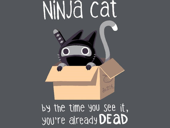 Ninja Cat