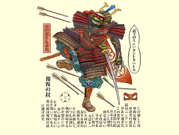 Samurai Raphael