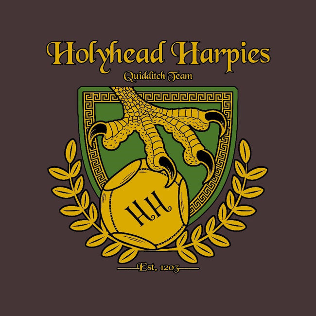 Holyhead Harpies-mens premium tee-IceColdTea