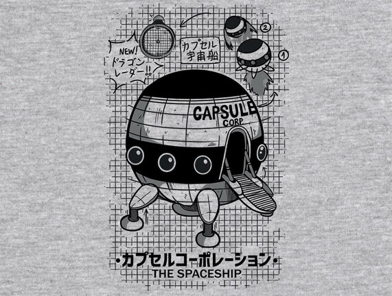 Capsule Spaceship