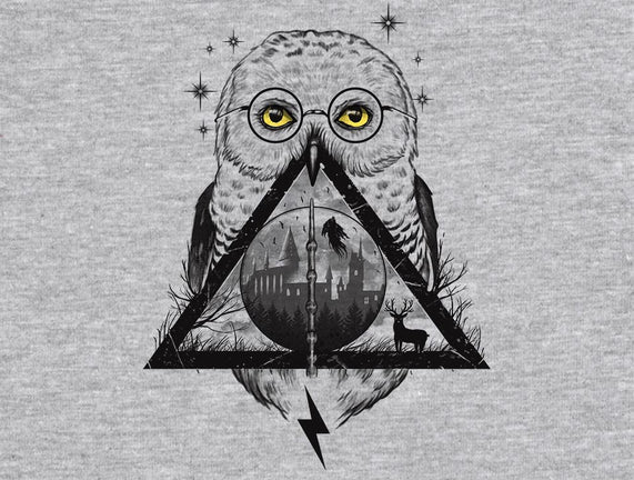 Owls and Wizardry