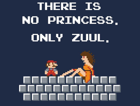 There Is No Princess