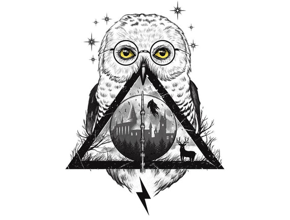 Owls and Wizardry