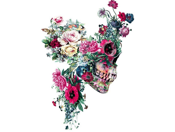 SKULL VII