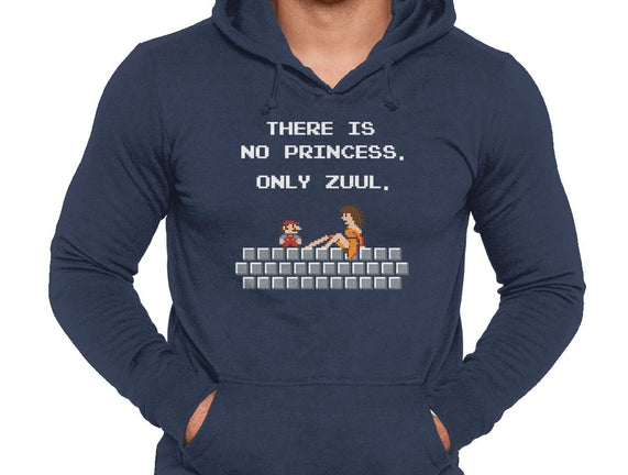 There Is No Princess