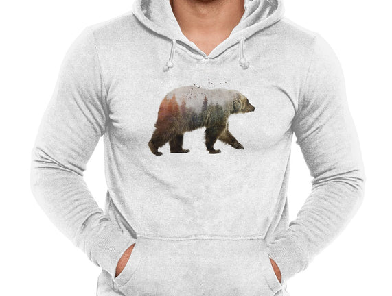 Ursa Nature