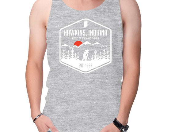 Visit Hawkins