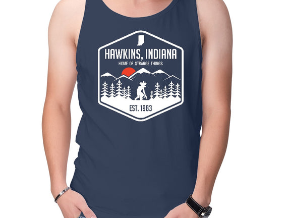 Visit Hawkins