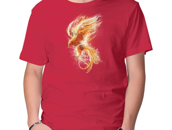 Phoenix Reborn