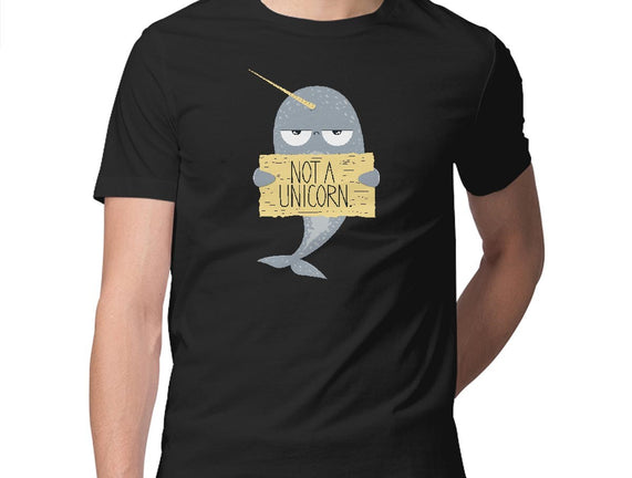 Not A Unicorn