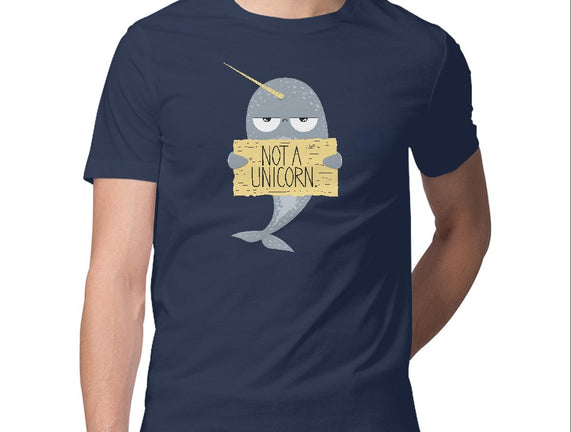 Not A Unicorn