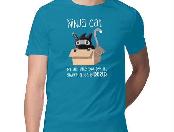 Ninja Cat