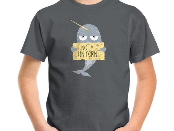 Not A Unicorn