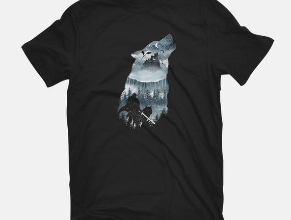 Winter Has Come