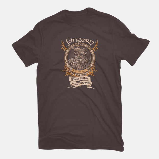 Fangorn University-mens basic tee-Hootbrush